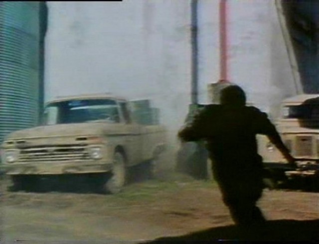 Yaban Kazları fotoğrafı