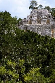 Calakmul, Huellas Del Presente (2006) afişi