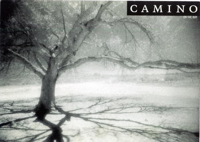 Camino (2006) afişi