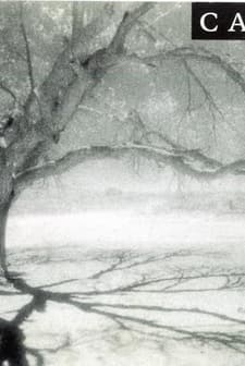 Camino (2006) afişi