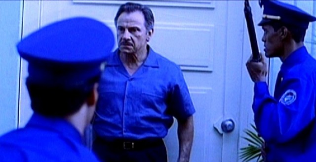 Dreaming of Julia fotoğrafı