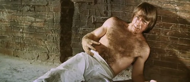 Ejder'in Dönüşü Fotoğrafı