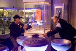 Witless Protection fotoğrafı