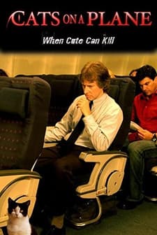 Cats On A Plane (2006) afişi
