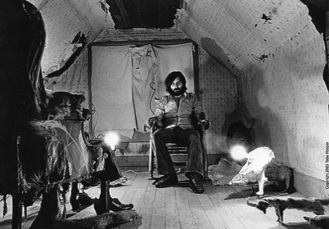 Eggshells fotoğrafı