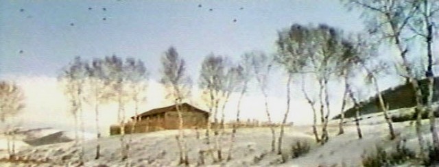 Eve Dönüş Yolu fotoğrafı