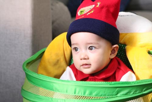 Şaşkın Hırsızlar Fotoğrafı