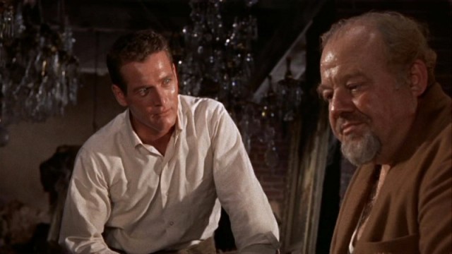 Kızgın Damdaki Kedi Fotoğrafı