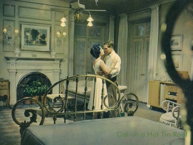 Kızgın Damdaki Kedi Fotoğrafı