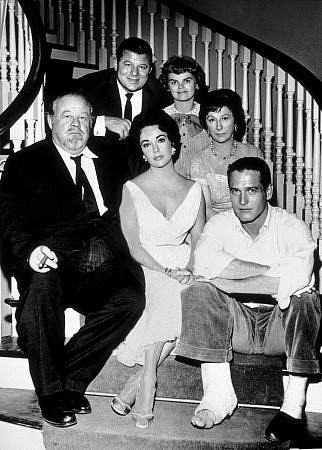 Kızgın Damdaki Kedi Fotoğrafı