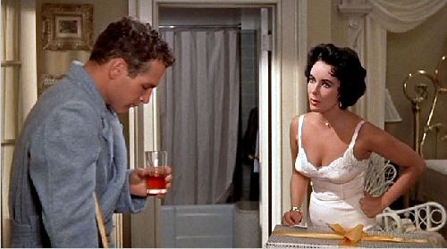 Kızgın Damdaki Kedi fotoğrafı