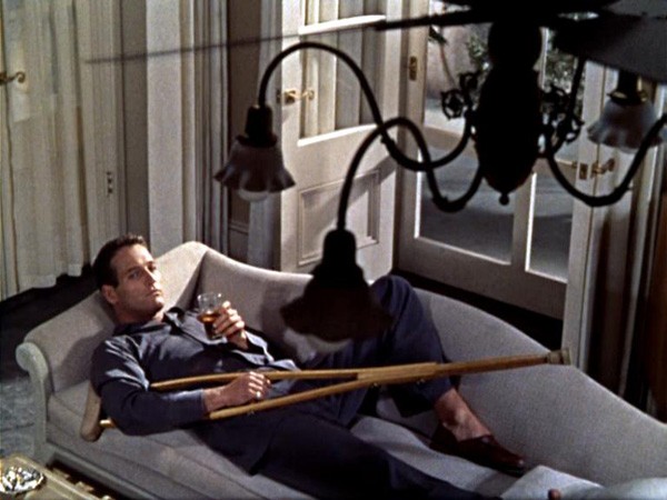 Kızgın Damdaki Kedi fotoğrafı