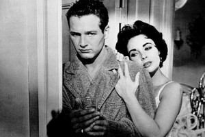 Kızgın Damdaki Kedi Fotoğrafı