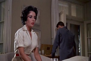 Kızgın Damdaki Kedi Fotoğrafı