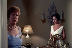 Kızgın Damdaki Kedi Fotoğrafı