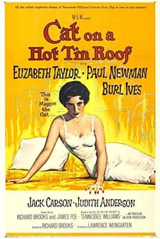 Kızgın Damdaki Kedi (1958) afişi