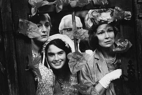 The Summer House fotoğrafı