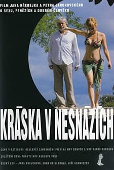 Kráska V Nesnázích (2006) afişi