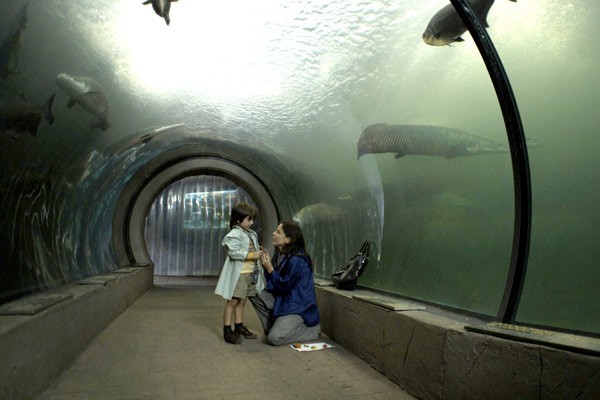 Kabuslar Adası fotoğrafı