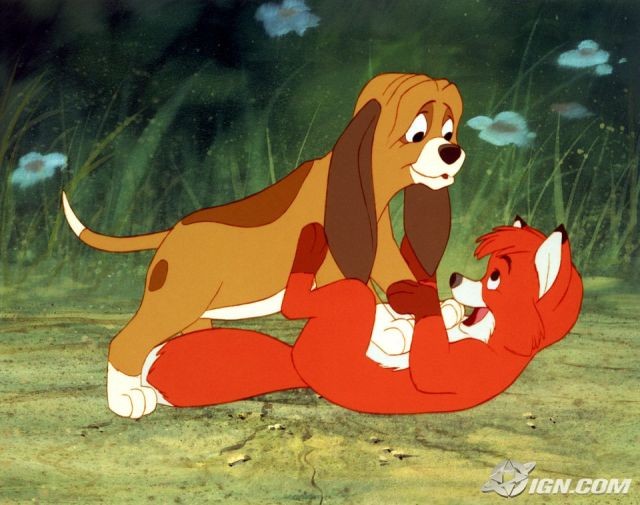 Tilki Ve Avcı Köpeği fotoğrafı