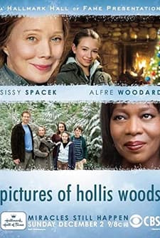Pictures of Hollis Woods (2007) afişi
