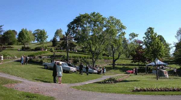 Reversible Errors fotoğrafı