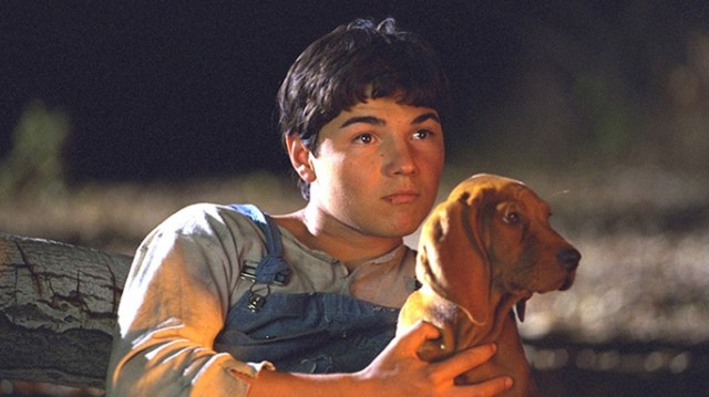 Where The Red Fern Grows fotoğrafı