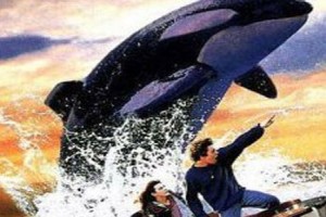 Özgür Willy 2 fotoğrafı