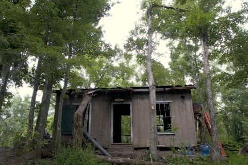 13: Fear ıs Real Fotoğrafı