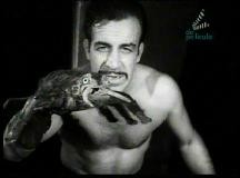 Hellish Spiders fotoğrafı