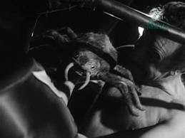 Hellish Spiders fotoğrafı