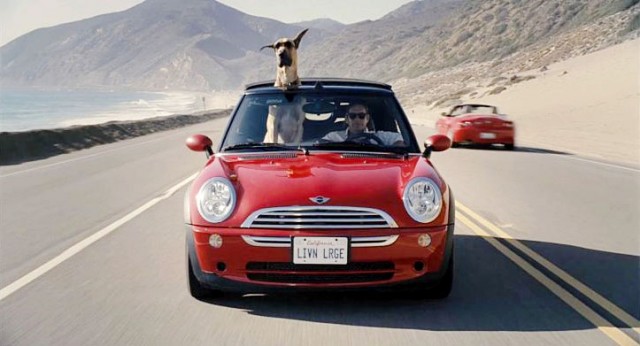 Marmaduke Fotoğrafı