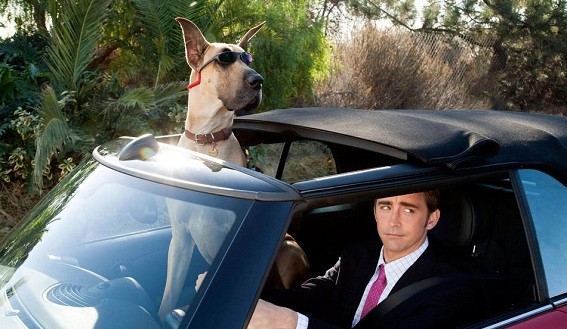 Marmaduke Fotoğrafı