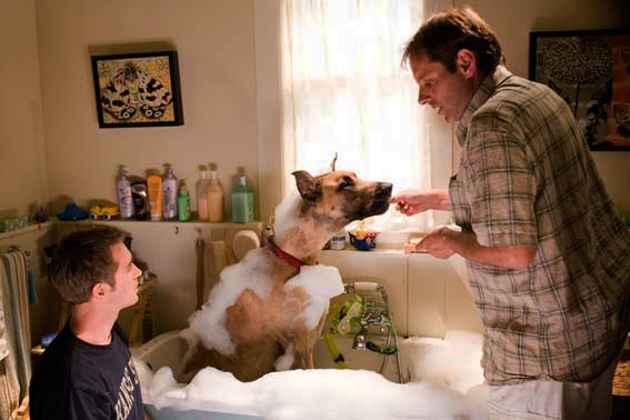 Marmaduke Fotoğrafı