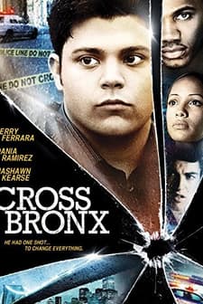 Cross Bronx (2004) afişi