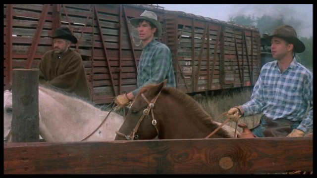 Lovin' Molly fotoğrafı