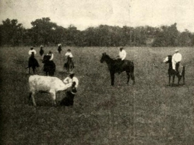 The 'Diamond S' Ranch (1912) afişi
