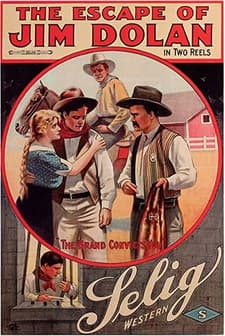 The Escape Of Jim Dolan (1913) afişi