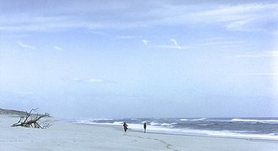 Kumun Altında Fotoğrafı