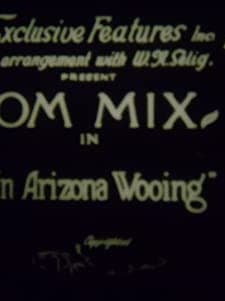 An Arizona Wooing (1915) afişi