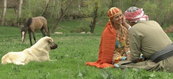 Saddamın Askerleri fotoğrafı