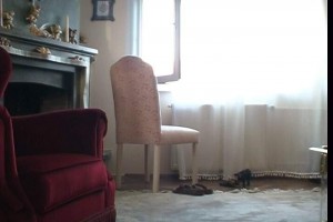 Açık Pencere fotoğrafı