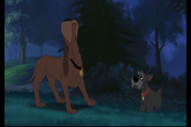 Lady And The Tramp II: Scamp's Adventure Fotoğrafı