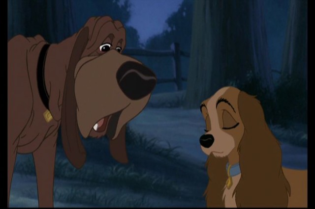 Lady And The Tramp II: Scamp's Adventure fotoğrafı