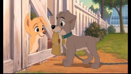 Lady And The Tramp II: Scamp's Adventure Fotoğrafı