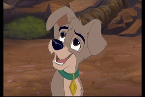 Lady And The Tramp II: Scamp's Adventure Fotoğrafı