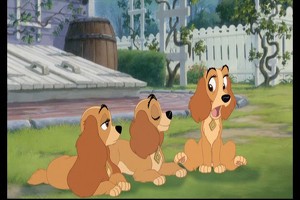 Lady And The Tramp II: Scamp's Adventure Fotoğrafı