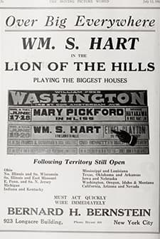 The Lion of the Hills (1918) afişi