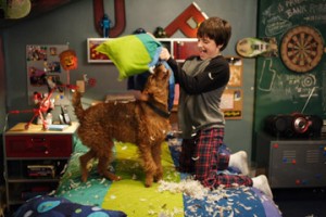 Firehouse Dog fotoğrafı