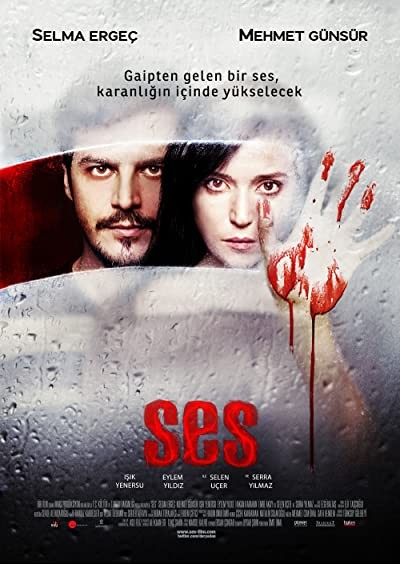 Ses (2010) afişi